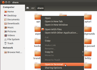 nautilus plugin for opening terminals in arbitrary paths