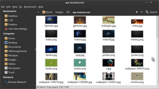 file manager and graphical shell for GNOME