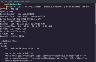 NMAP netcat reimplementation