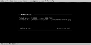 ncurses disk usage viewer