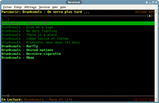 ncurses-based audio player