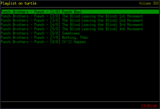 ncurses-based audio player