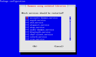 Daemons using outdated libraries