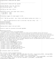 check which daemons need to be restarted after library upgrades