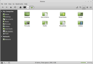 File manager and graphical shell for Cinnamon