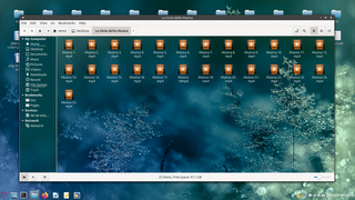 File manager and graphical shell for Cinnamon