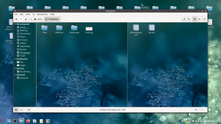 File manager and graphical shell for Cinnamon