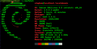 What 'neofetch' does is display some sysinfo for perusal or sharing