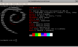 Shows Linux System Information with Distribution Logo
