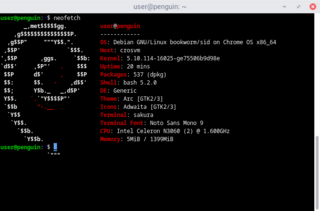 Shows Linux System Information with Distribution Logo