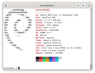 Shows Linux System Information with Distribution Logo