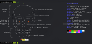 Shows Linux System Information with Distribution Logo