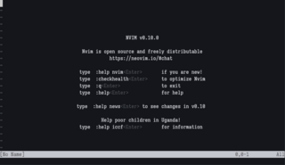 heavily refactored vim fork