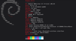 Shows Linux System Information with Distribution Logo