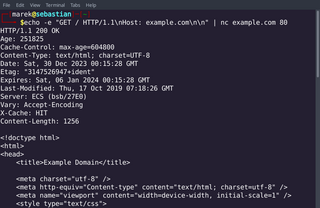 TCP/IP swiss army knife