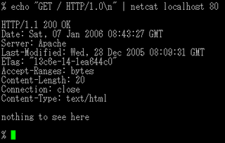 TCP/IP swiss army knife -- transitional package