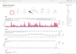 Netdata overview, white