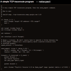 Network Expect, a framework for manipulating network packets
