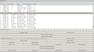 netdude clone that shows pcap dump lines in network header style