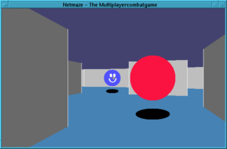 3-D Multiplayer Combat Game