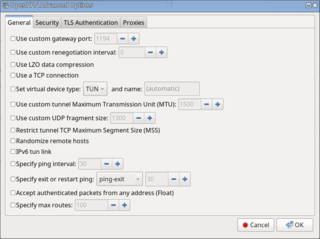 network-manager-openvpn plugin, version 1.2.8-2; create new VPN advanced screen