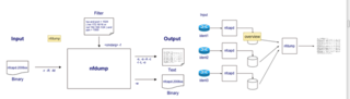netflow capture daemon