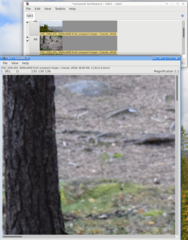 view photo (press left key on mouse "Click+Click")