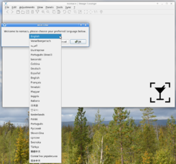 start->select language