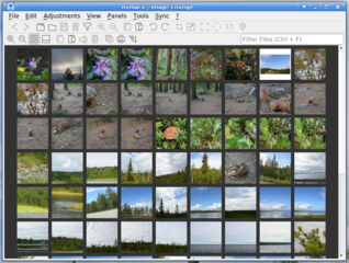 image viewer with capability of syncing multiple instances