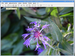 view (step-by-step)