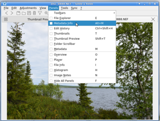 nef-EXIF: Menu->Penels->Metadata Info_1