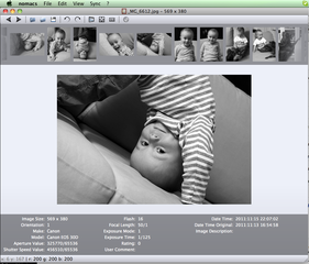 image viewer with capability of syncing multiple instances