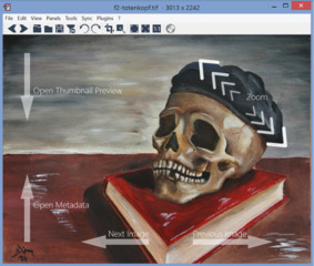 image viewer with capability of syncing multiple instances