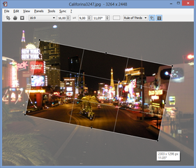 image viewer with capability of syncing multiple instances