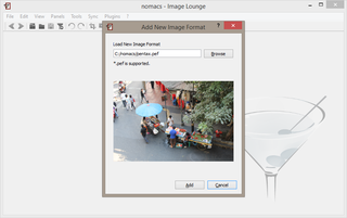 image viewer with capability of syncing multiple instances