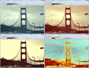image viewer with capability of syncing multiple instances