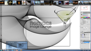 image viewer with capability of syncing multiple instances