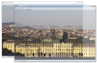 image viewer with capability of syncing multiple instances