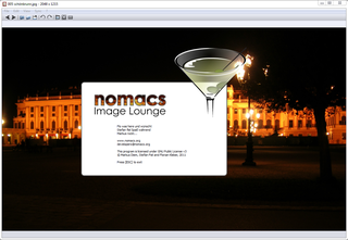 image viewer with capability of syncing multiple instances