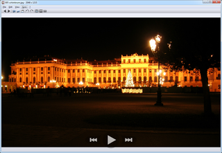 image viewer with capability of syncing multiple instances