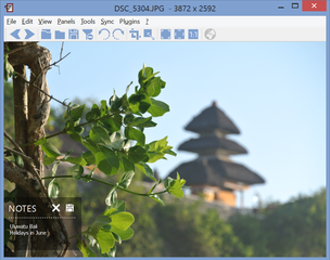 image viewer with capability of syncing multiple instances