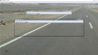 image viewer with capability of syncing multiple instances