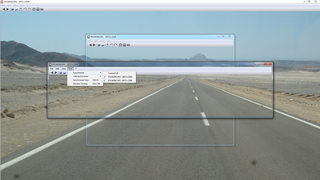 image viewer with capability of syncing multiple instances