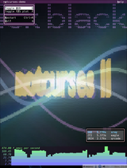 notcurses-demo 2.0.8 "xray" in an 80x52 xfce4-terminal