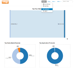 High-Speed Web-based Traffic Analysis and Flow Collection Tool