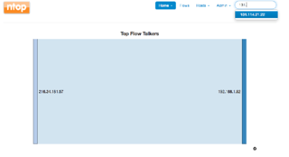 High-Speed Web-based Traffic Analysis and Flow Collection Tool