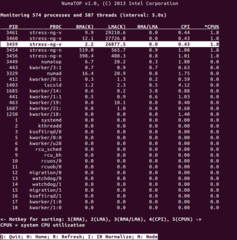 NUMA runtime observation tool