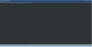 Main window in console mode