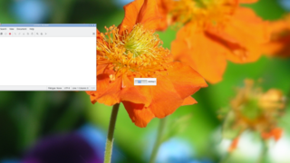 standards-compliant, fast, light-weight and extensible window manager