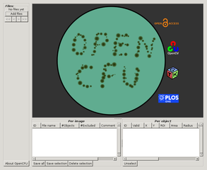the startup screen